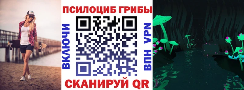 Псилоцибиновые грибы GOLDEN TEACHER  закладка  Разумное 